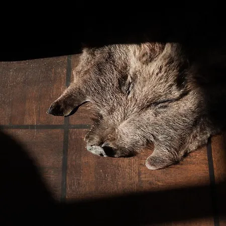 Hotell Hotel Schloss Neetzow